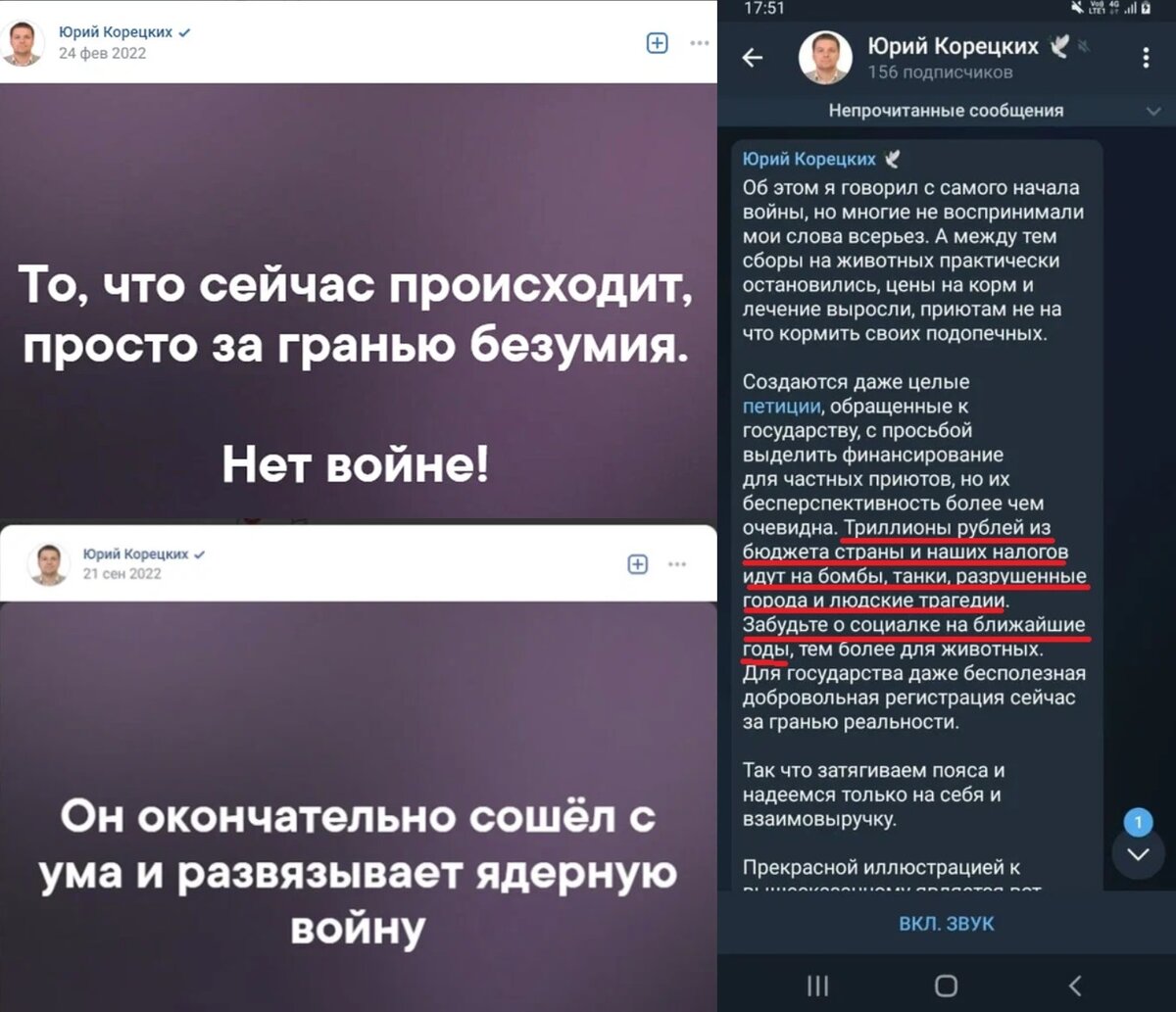 Какие ассоциации у вас возникают при слове «зоозащитник»? Наверное, люди, подкармливающие бездомных кошечек и выступающие за сохранение популяции, к примеру, пиренейской выхухоли? Есть и такие.-4