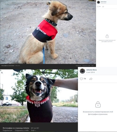 Какие ассоциации у вас возникают при слове «зоозащитник»? Наверное, люди, подкармливающие бездомных кошечек и выступающие за сохранение популяции, к примеру, пиренейской выхухоли? Есть и такие.-14