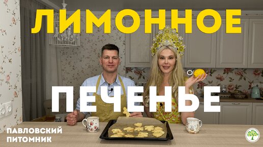 Готовим лимонное печенье с имбирём | Павловский питомник