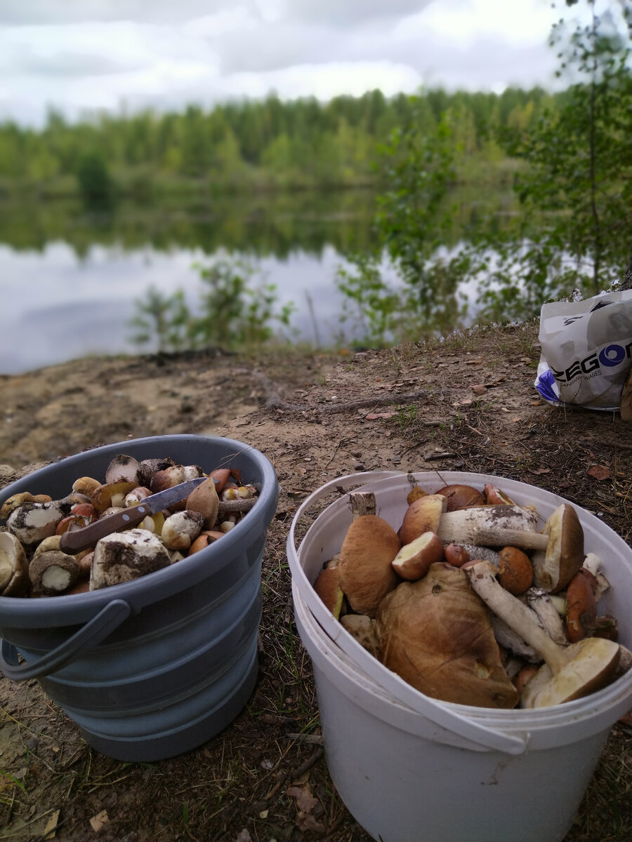 Тихая охота возле карьера.