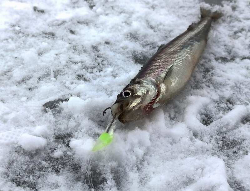 Мормышки на корюшку балтийскую своими руками модель лодочка