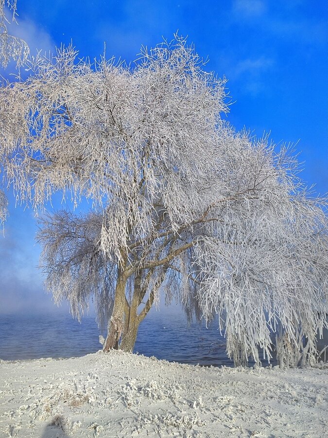 Порядок дружбы курск