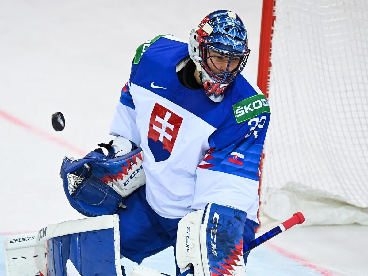    Хоккей. Чемпионат мира. Матч Словакия - Россия© РИА Новости / Григорий Сысоев