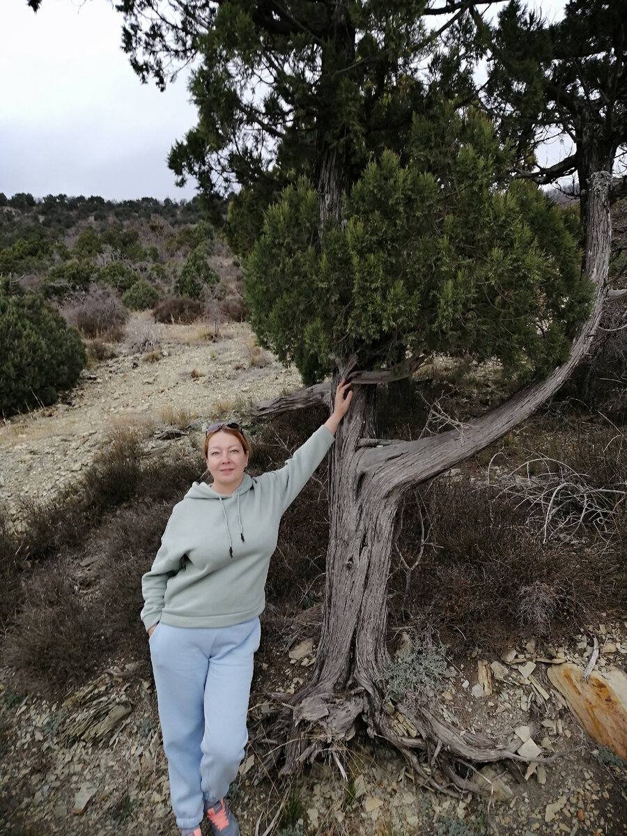 Х. Дюрсо. Заповедник