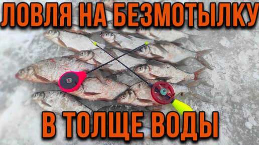 УЛОВИСТАЯ БЕЗМОТЫЛКА РАЗВЕДЧИК! Зимняя рыбалка на озере - YouTube | Fish