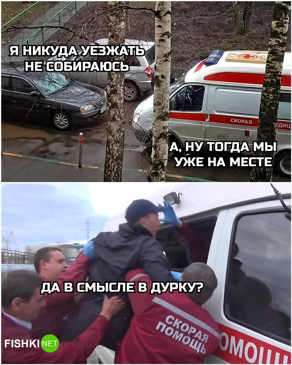 Источник: userapi.com