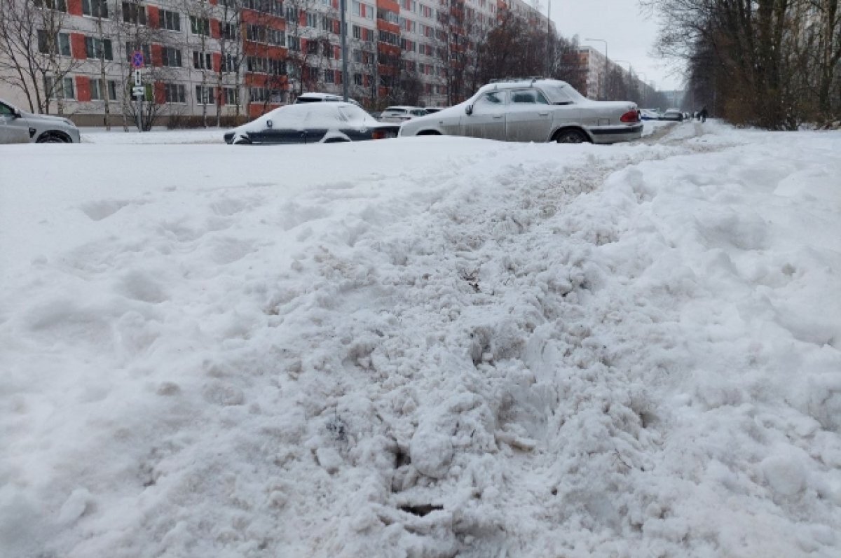    Из-за сложных погодных условий на Ямале временно приостановлен вывоз мусора
