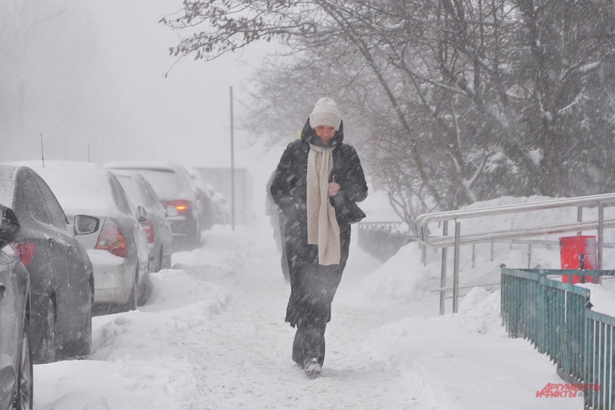    Снег, метели и ветер с порывами до 18 м/с обещают в Челябинской области