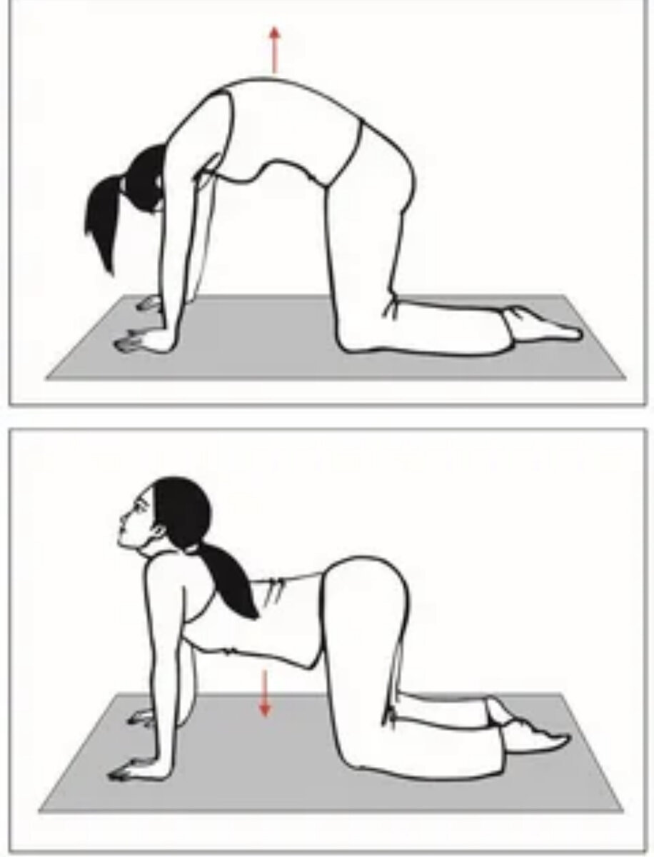 Выгнутая поясница. Упражнения для растягивания мышц спины и позвоночника. Упражнения для растяжки мышц спины и позвоночника. Упражнения для растяжки спины и поясницы. Упражнение кошечка.