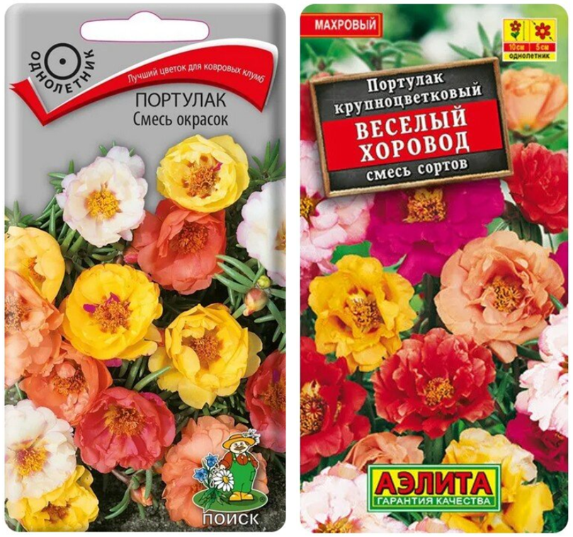 Бегония ампельная д12. Герань в кашпо на балконе. Цветы балконные цветущие зимой на балконе. Пеларгония зональная в балконном ящике. Петуния уникум на балконе.