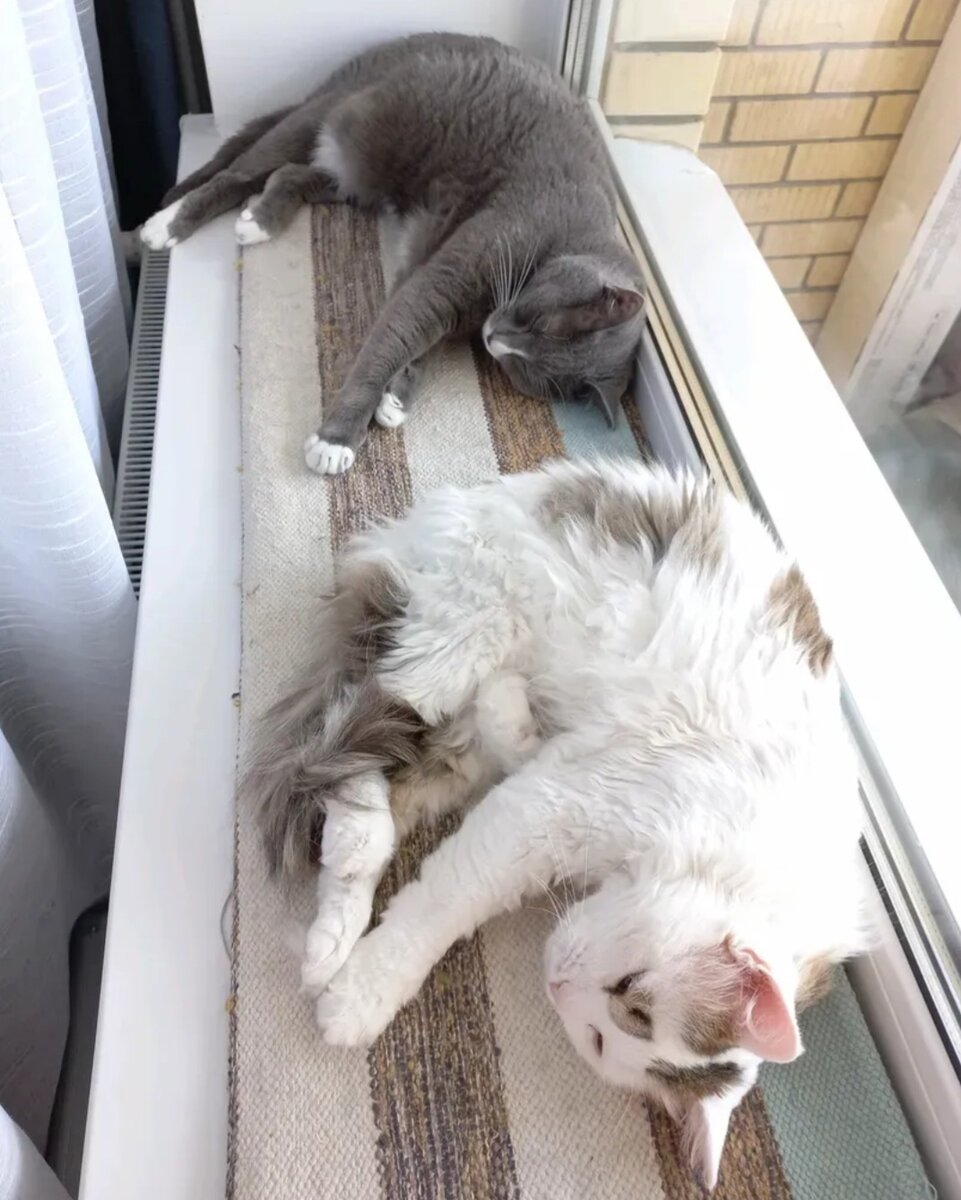 Моя недвижимость 😹😹