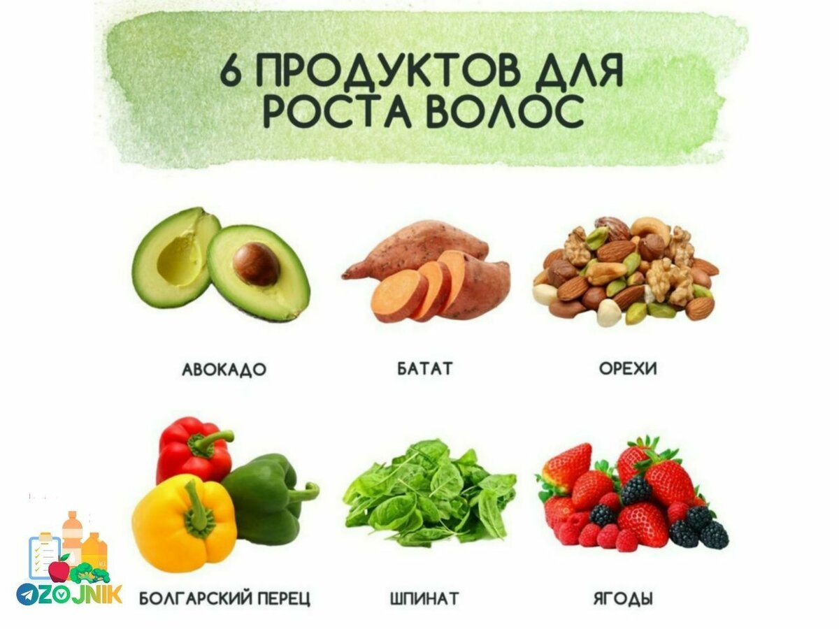 Топ-10 продуктов для стимуляции роста волос | Красота и здоровье | Дзен