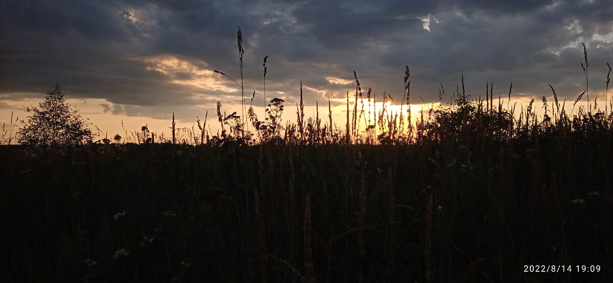 Просто фото для иллюстрации:) 