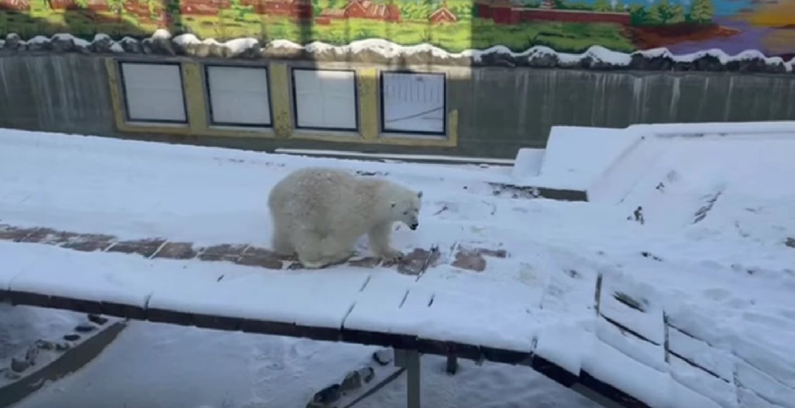    Фото: Росприроднадзор