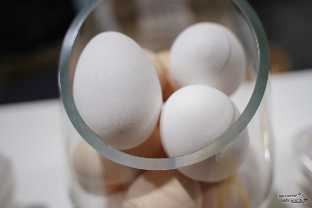 Фабрика яиц. Яичный белок птицефабрика Челябинск отзывы.