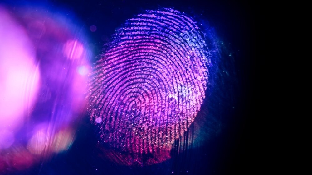    Фото: Shutterstock