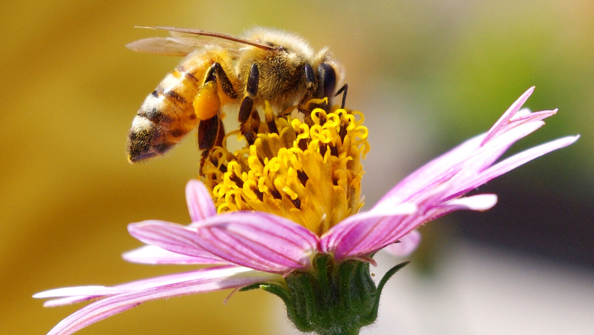 источник фото: Яндекс.Картинки