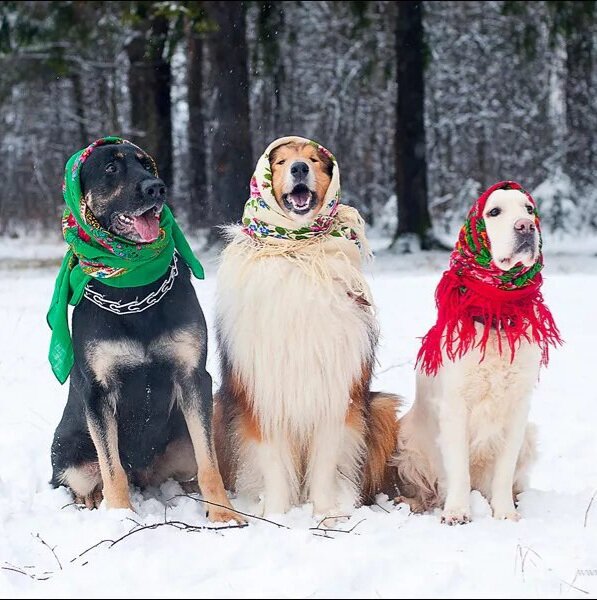 Источник: Яндекс картинки