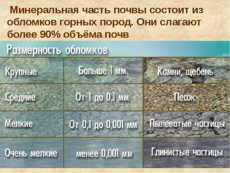 Из чего состоит почва тест. Из чего состоит почва тест