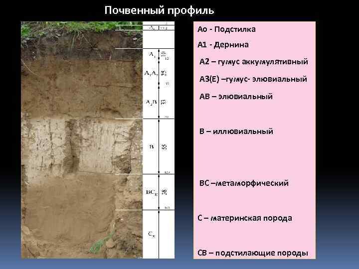 Разрушение структуры почвы