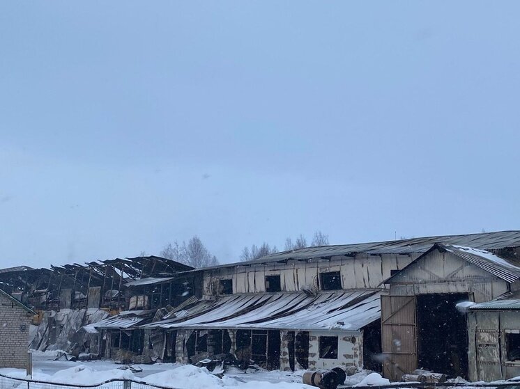     фото Александра Тощигина