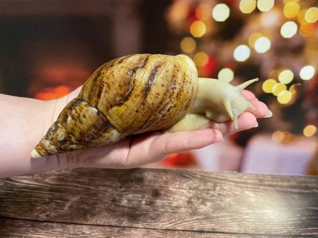 Фото: архив Елены Шабалиной