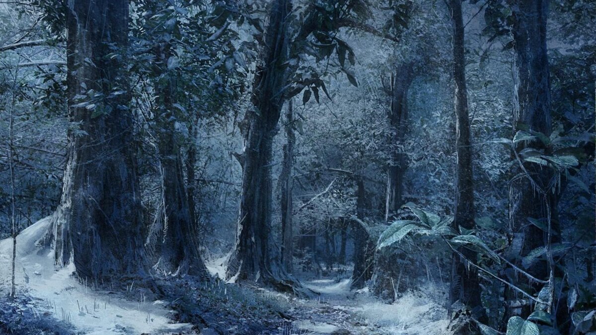 яндекс картинки