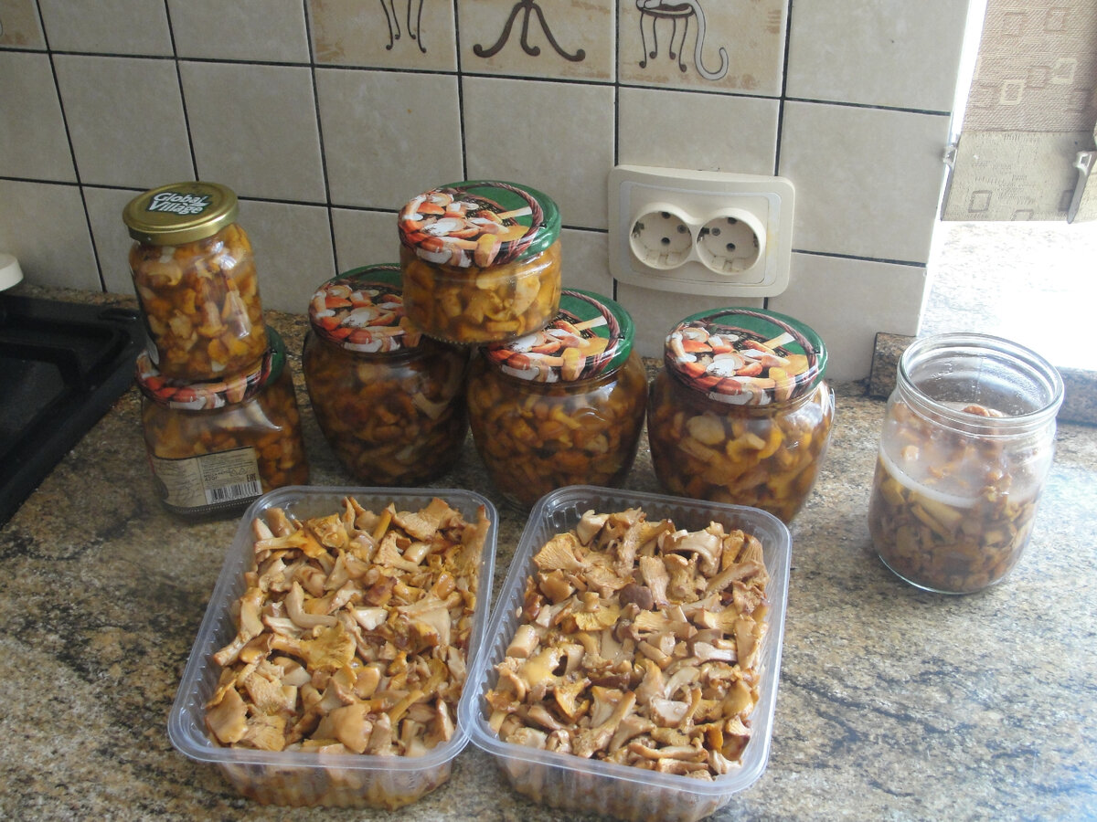 Аппликация гриб во второй младшей группе. Опасные грибы мухомор красный. Расскажи о грибах. План грибов. Мнемотаблица грибы для детей.