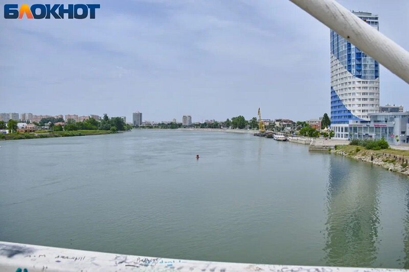 В Краснодаре отказались чистить реку Кубань | Блокнот Краснодар | Дзен
