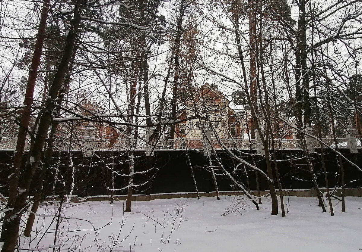 Так бесполезно, так зло и ненужно: гибель дачи Косиора в Серебряном Бору |  Поликсена Торопецкая | Дзен