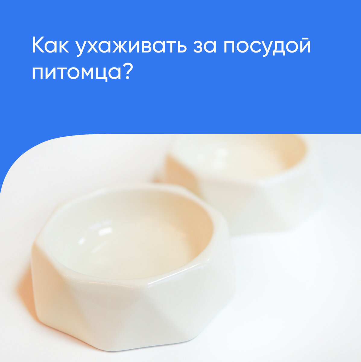Если коротко, то примерно так же, как и за своей, то есть в идеале мыть после каждого приема пищи. Так вы сможете предотвратить рост бактерий. 
❗️Согласно некоторым исследованиям, посуда питомцев занимает третье место среди наиболее «грязных» бытовых предметов и представляет собой отличную среду для размножения таких опасных микроорганизмов, как кишечная палочка и сальмонелла.

Когда питомец ест из миски, в нее попадают бактерии из его рта, которые затем активно размножаются на остатках пищи. Чем дольше миска остается невымытой, тем больше там образуется микроорганизмов. Повторно поев из такой посуды, животное рискует получить расстройство желудка.

Если мыть посуду за питомцем сразу после того, как он поел, сложно или невозможно, делайте это как минимум раз в день. В теплый сезон жители частных домов часто выставляют миски с кормом и водой на открытый воздух. В этом случае их следует мыть не менее двух раз в день, поскольку насекомые и частички растений могут служить дополнительным источником небезопасных бактерий.

🔹Миски из каких материалов лучше выбирать?

Оптимальный вариант — из нержавеющей стали. Такие миски прочные, долго служат и их удобнее поддерживать в чистоте, чем, к примеру, пластиковые.

Керамические миски — также прекрасный выбор. Они тяжелее металлических и пластиковых, поэтому питомцу будет сложнее их нечаянно перевернуть. Кроме того, в жаркие дни вода и пища в керамической посуде дольше не нагревается. Благодаря глазури она также не вызывает проблем с чисткой.

🔹Как вымыть миску?

Удалите остатки пищи, затем тщательно вымойте миску в горячей воде, применяя моющее средство, и хорошо ополосните. Используйте отдельную губку для мытья посуды питомца. После того, как посуда вымыта, продезинфицируйте раковину.

🐶🐱 Будьте здоровы!