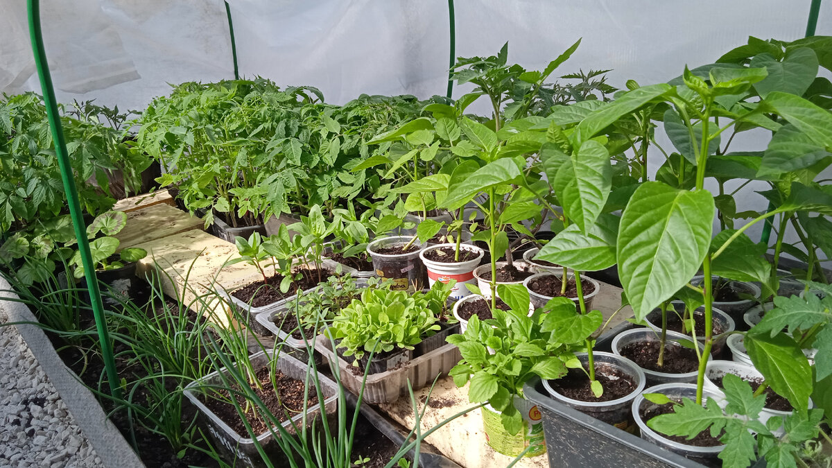 Переехали из квартиры.