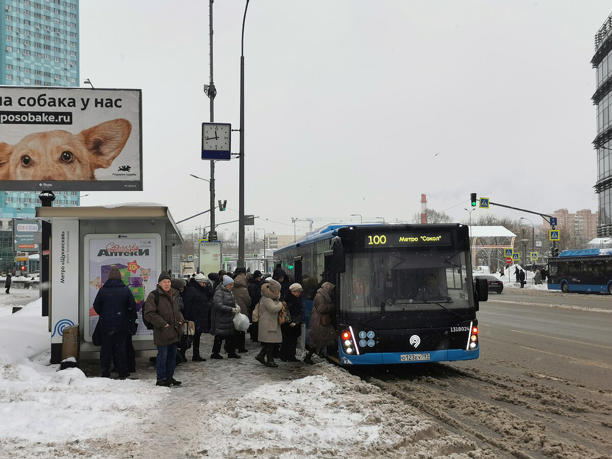 Транспорт Москвы: 11 января 2024 года | Транспортные фотографии и  видеоролики | Дзен