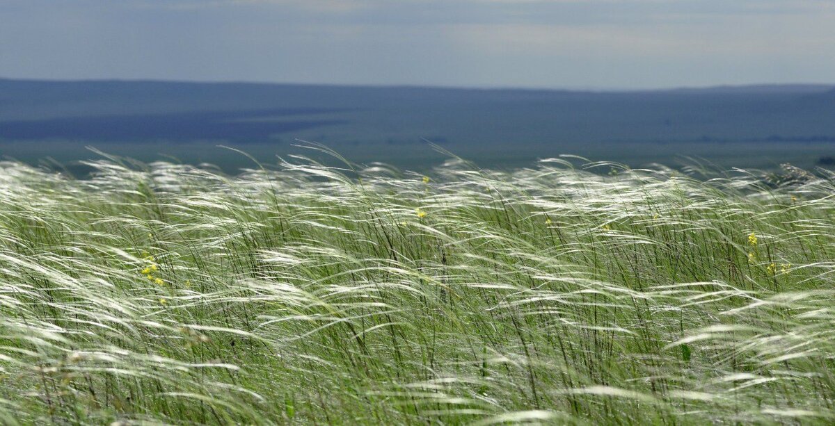    Заповедники «Оренбургский» и «Шайтан-Тау» представлены на сайте Кремля Андрей Севостьянов