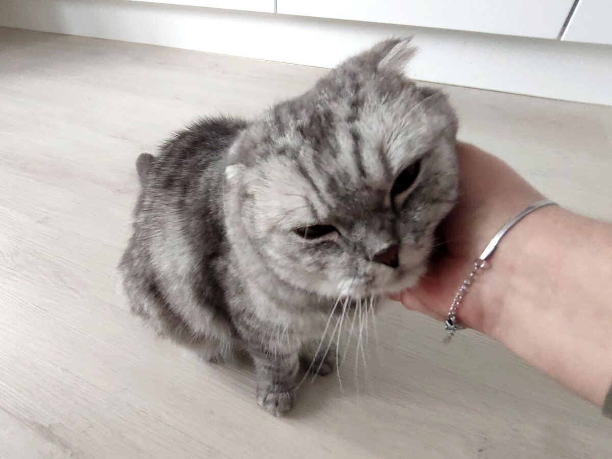 Мой Грей крутит мной, как хочет