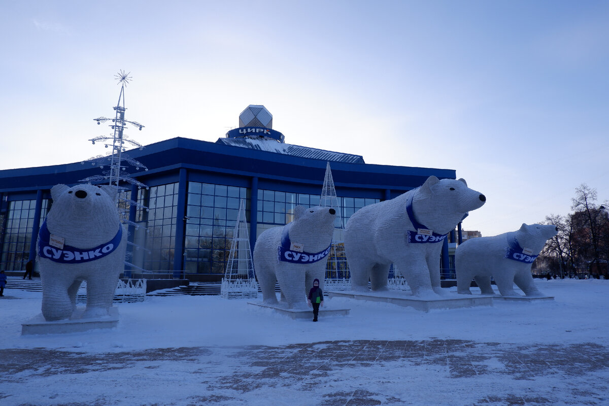Тюменский цирк