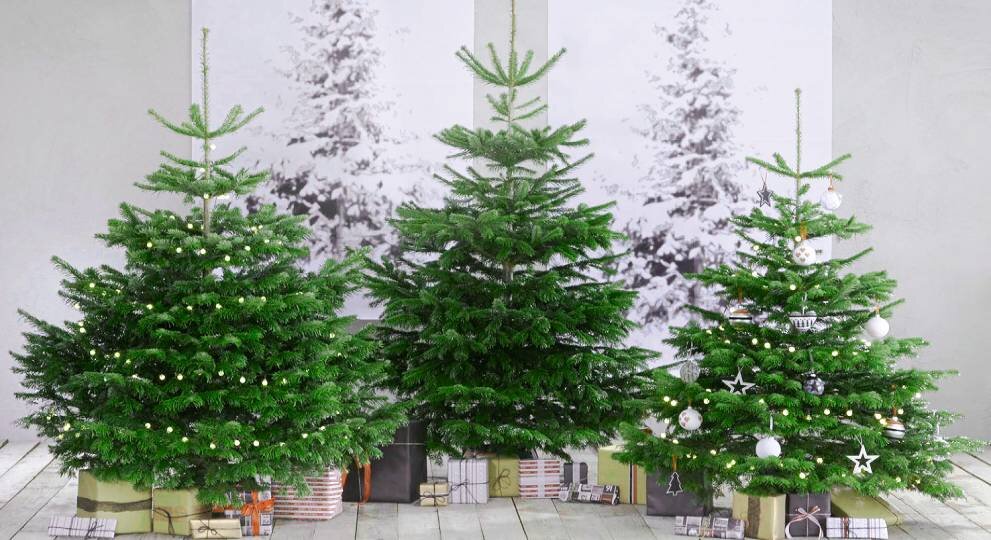 The Consumerist’s Christmas Tree: рождественская елка из полиэтиленовых пакетов