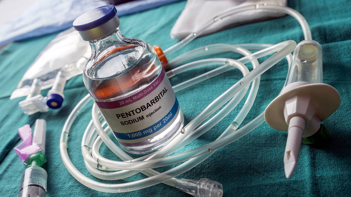    Фото: shutterstock