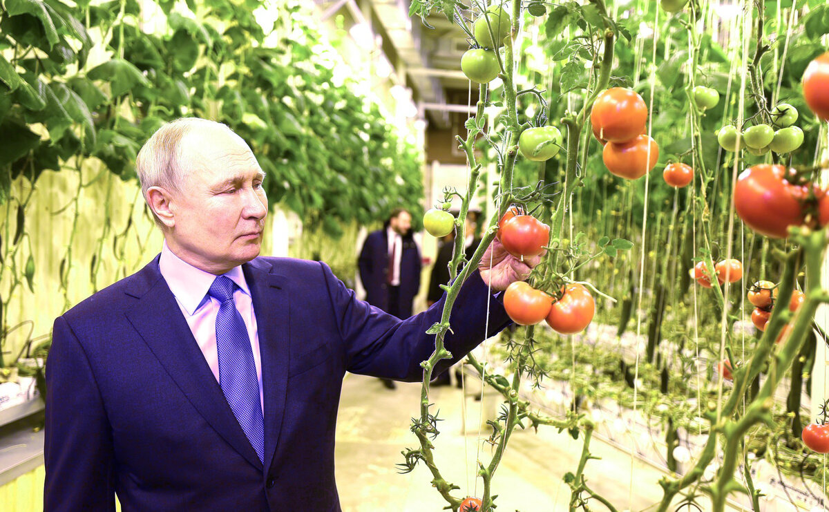 ПОЧЕМУ-ТО ИМЕННО ФОТОГРАФИЯ ПУТИНА В ЧУКОТСКОЙ ТЕПЛИЦЕ ТОЖЕ СИЛЬНО ВЗВОЛНОВАЛА АМЕРИКАНСКОЕ ИЗДАНИЕ. ФОТО: KREMLIN POOL/VIA GLOBAL LOOK PRESS