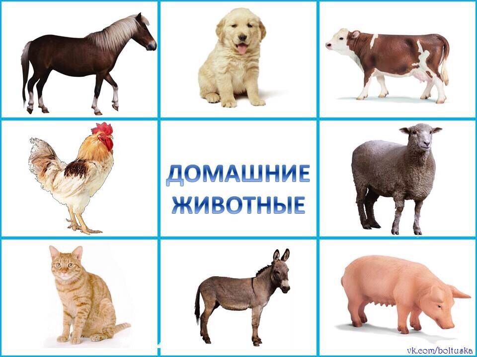 источник интернет