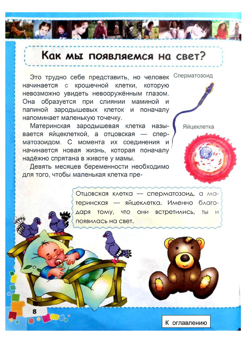 Одна из страниц. Как мы появляемся на свет?