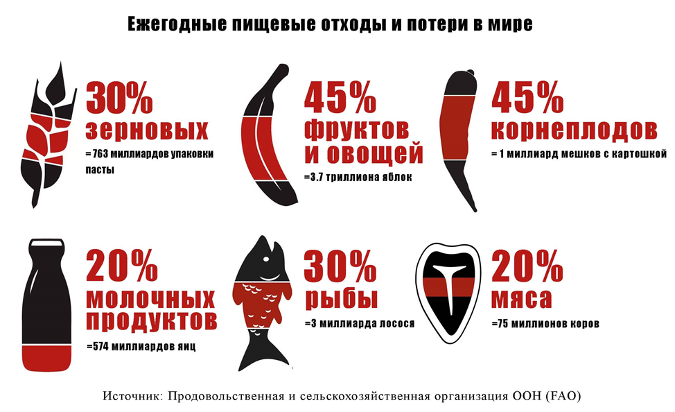 Пищевой рыбный отход. Ежегодные пищевые отходы. Продовольственные потери и пищевые отходы