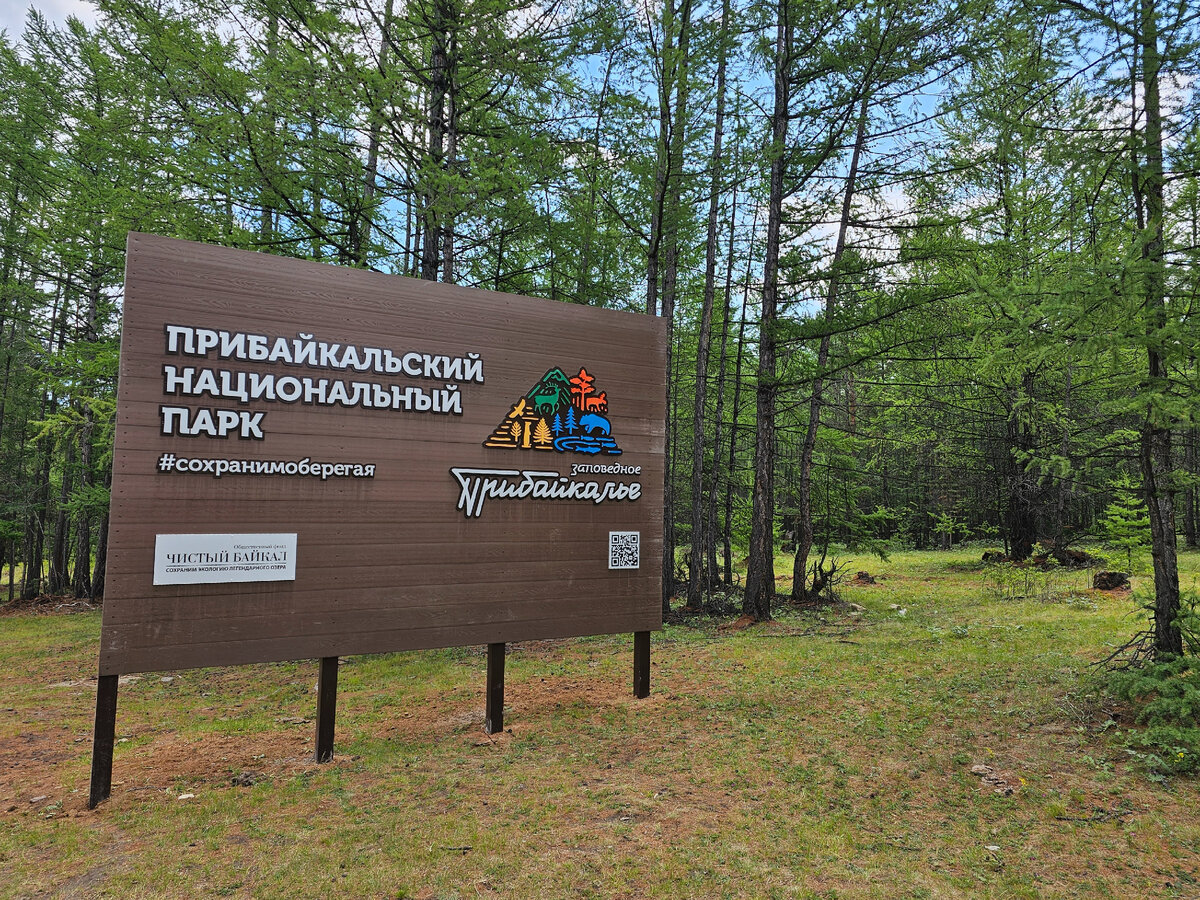 Колобки мультфильм колобанга. С 1 днем лета. Завтра лето. Лету всего четыре дня. Дней до лета.