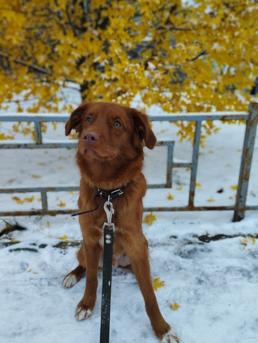 Ирвин. Фото автора.