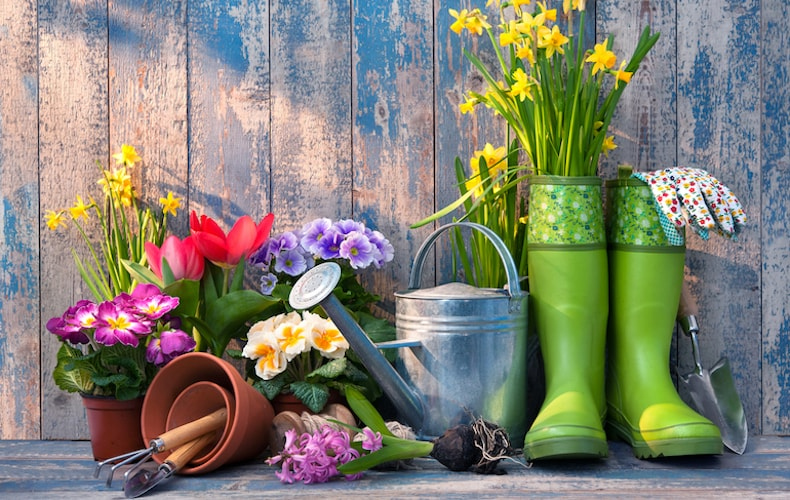 Весенний уход за ландшафтом