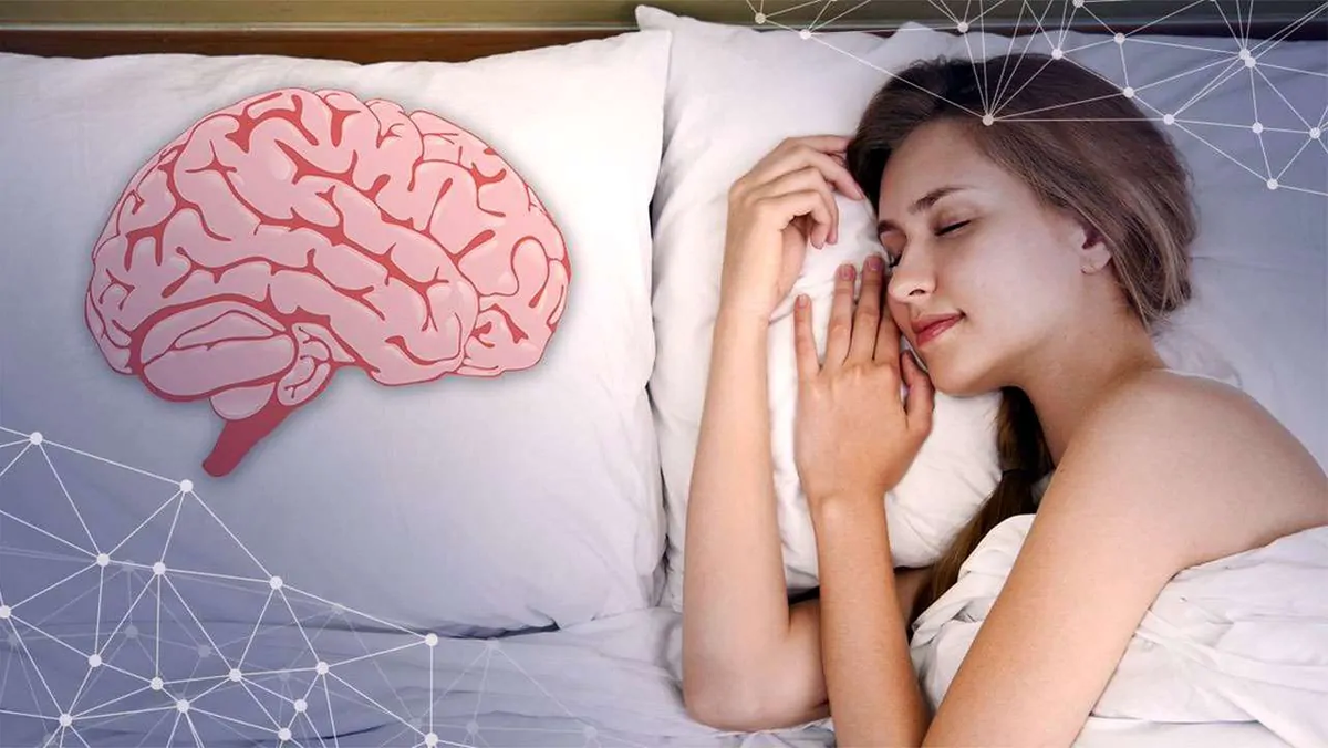 Работа мозга во время сна. Спящий человек.