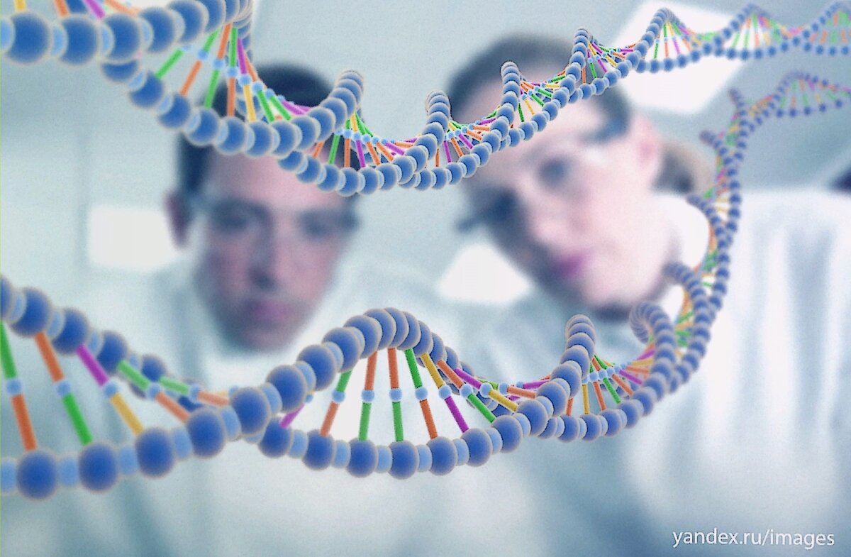 Мы как эти два человека взглянем внутрь клеток поглубже. Картинка из открытых источников Яндекса.