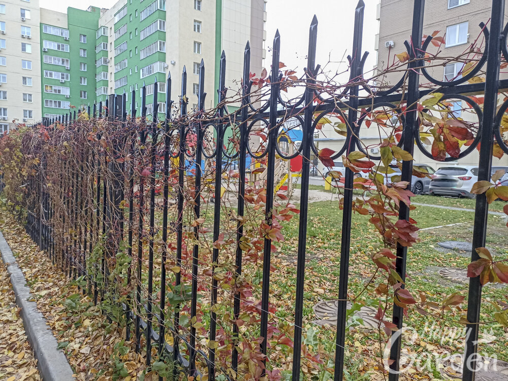 Металлическая изгородь