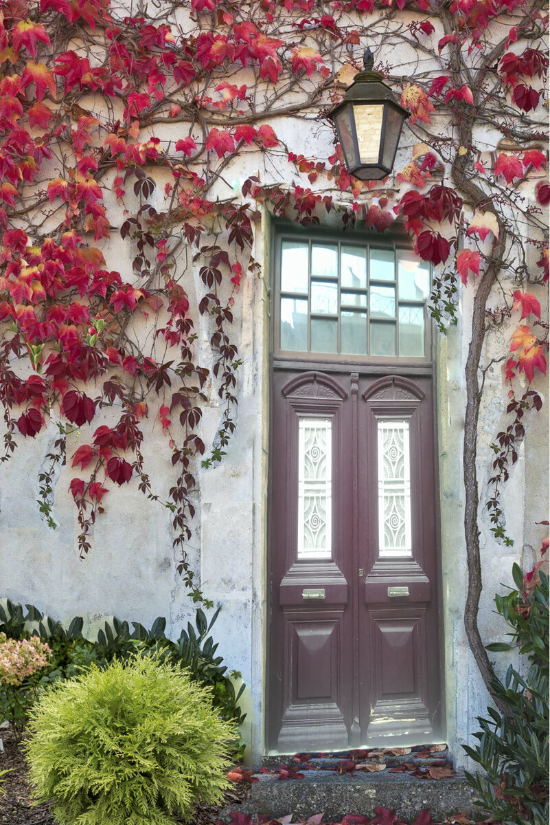 фотоколлаж