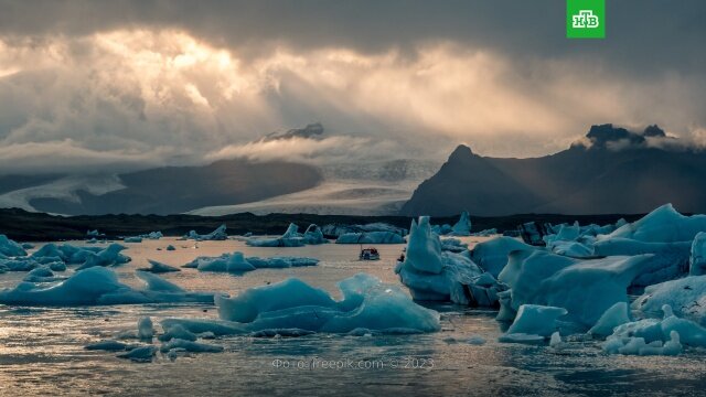 Предсказания болгарской слепой ясновидящей Ванги (1911–1996), как считают многие, продолжают сбываться. Говорят, она завещала своим родственникам обнародовать пророчества в конкретные годы после ее смерти. Доходят предсказания до нас в разных трактовках. И если им верить, 2024 год станет годом лидера, который покажет путь всем остальным. Многие уверены, что речь идет о президенте России. 
Конфликты на Украине и Ближнем Востоке вряд ли решатся в этом году. Но произойдут связанные с этими регионами события, которые могут оказаться фатальными в судьбе целых государств и даже континентов.

Согласно видениям Ванги, в Европе и Америке будет большая смута, в результате которой богатые потеряют деньги, а бедные их приобретут.

